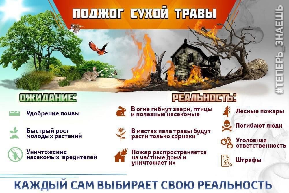 89NHmMdv2-0.jpg