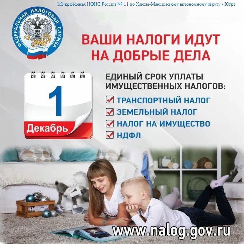 2. срок уплаты 1 декабря.jpg