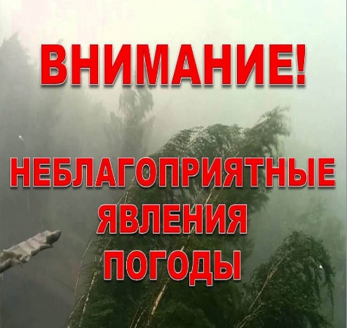 T3ZnoWscONncv3a2zT0wyetfIj1Y8tIe9vH-q5IGwOLiy_Aai-R4MGuuDy8HKbT9HwWDjgd7_7FbYVCHcEIdLLai.jpg T3ZnoWscONncv3a2zT0wyetfIj1Y8tIe9vH-q5IGwOLiy_Aai-R4MGuuDy8HKbT9HwWDjgd7_7FbYVCHcEIdLLai.jpg