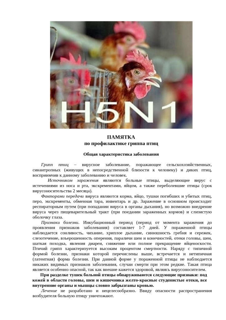 памятка_по_гриппу_птиц_page-0001.jpg