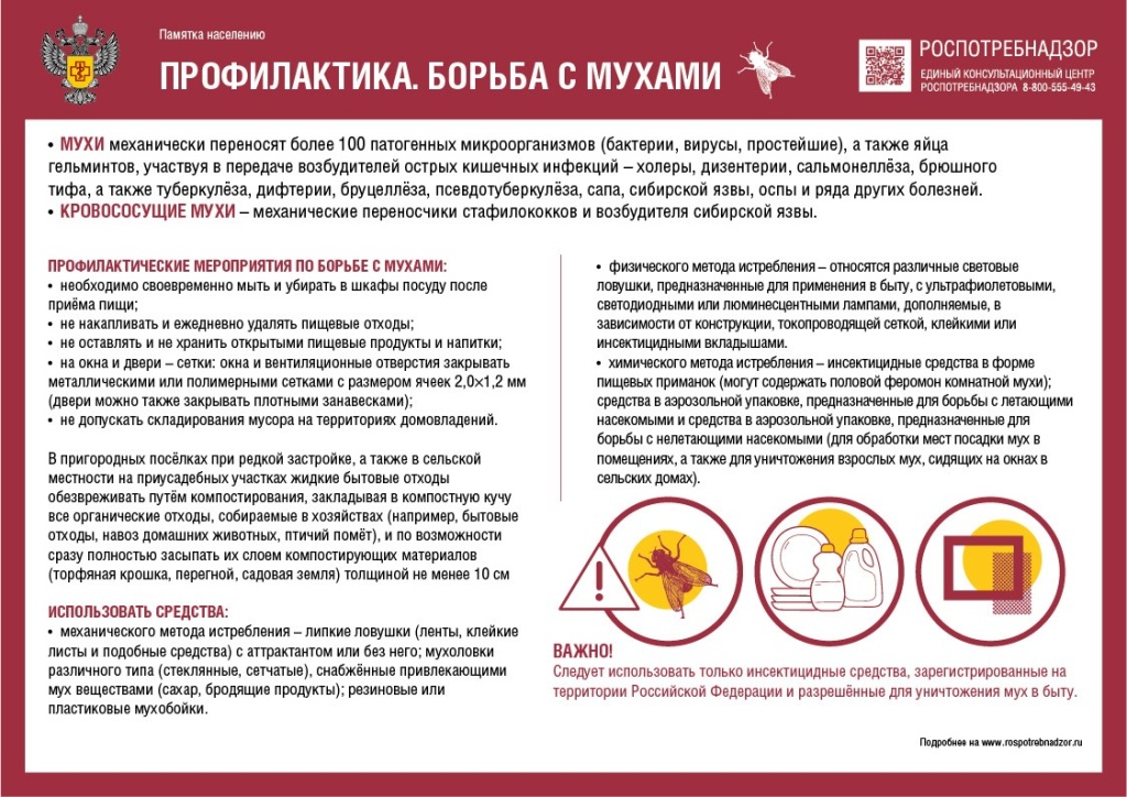 борьба с мухами.jpg борьба с мухами.jpg