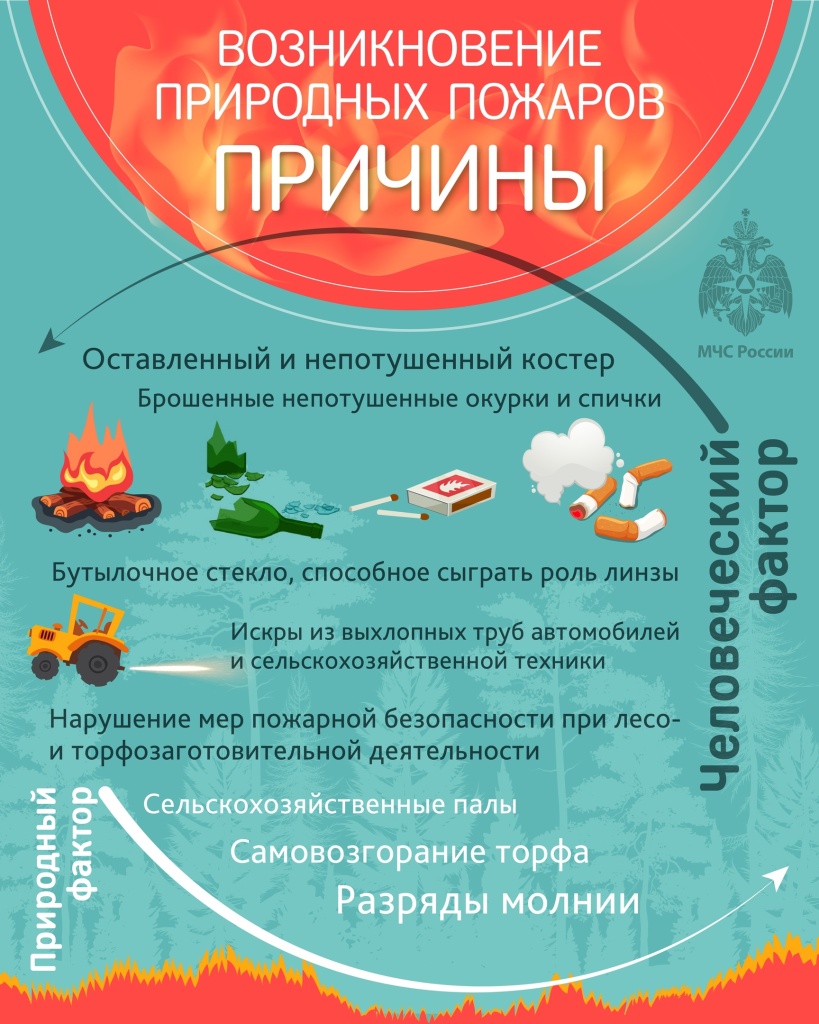 i05g0j7R694.jpg i05g0j7R694.jpg